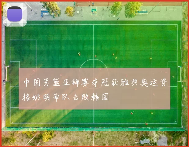 中国男篮亚锦赛夺冠获雅典奥运资格姚明率队击败韩国