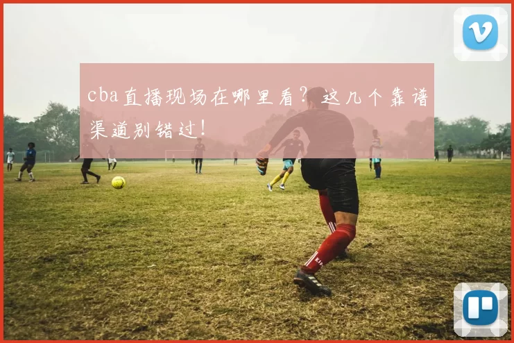 cba直播现场在哪里看?这几个靠谱渠道别错过!