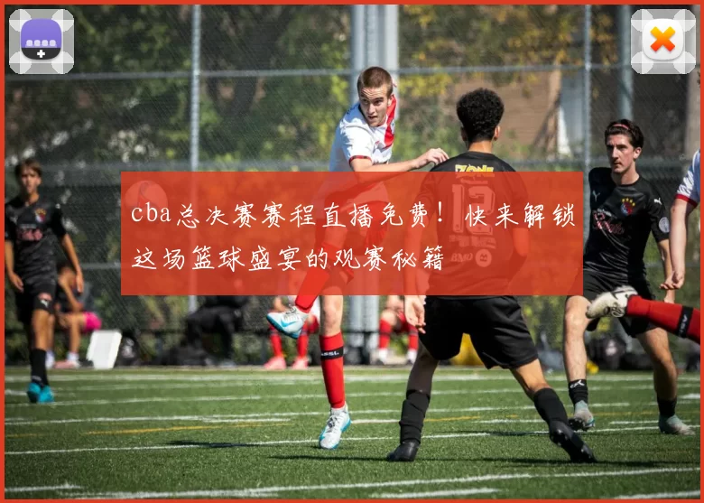 cba总决赛赛程直播免费！快来解锁这场篮球盛宴的观赛秘籍